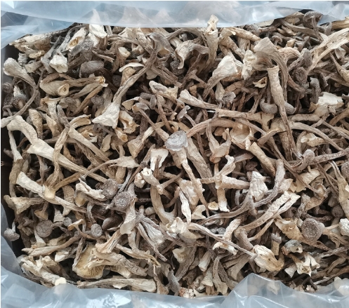 鹿茸菇鹿茸菌干貨500g土特產(chǎn)農(nóng)副產(chǎn)品食用菌酒店食材